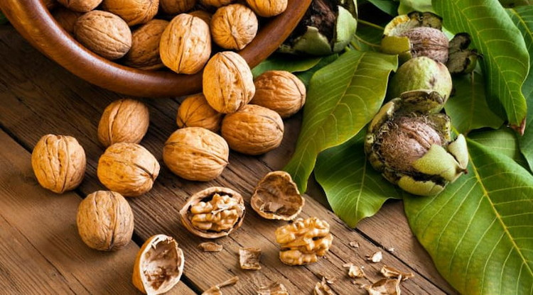 دستگاه پوست گیر بادام و گردو